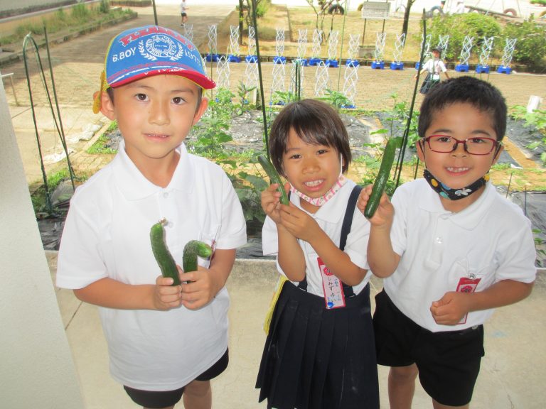 学級園 白石町立有明東小学校