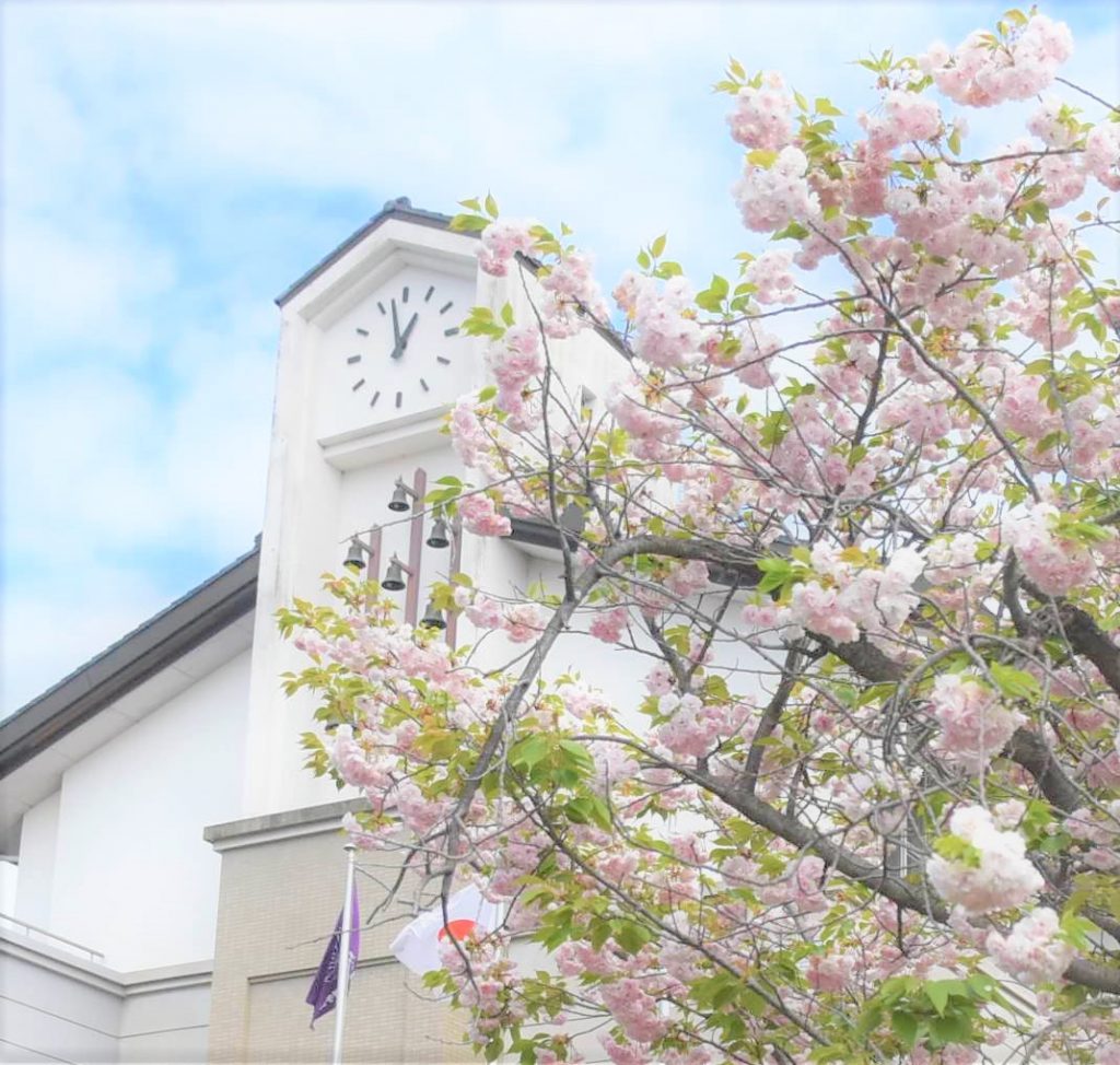 カリヨンの鐘と桜