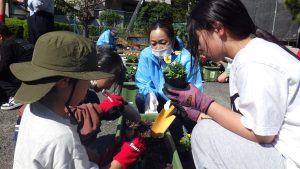 花いっぱい運動４