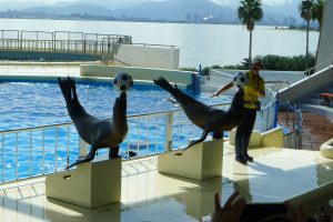 １・２年生バス旅行７