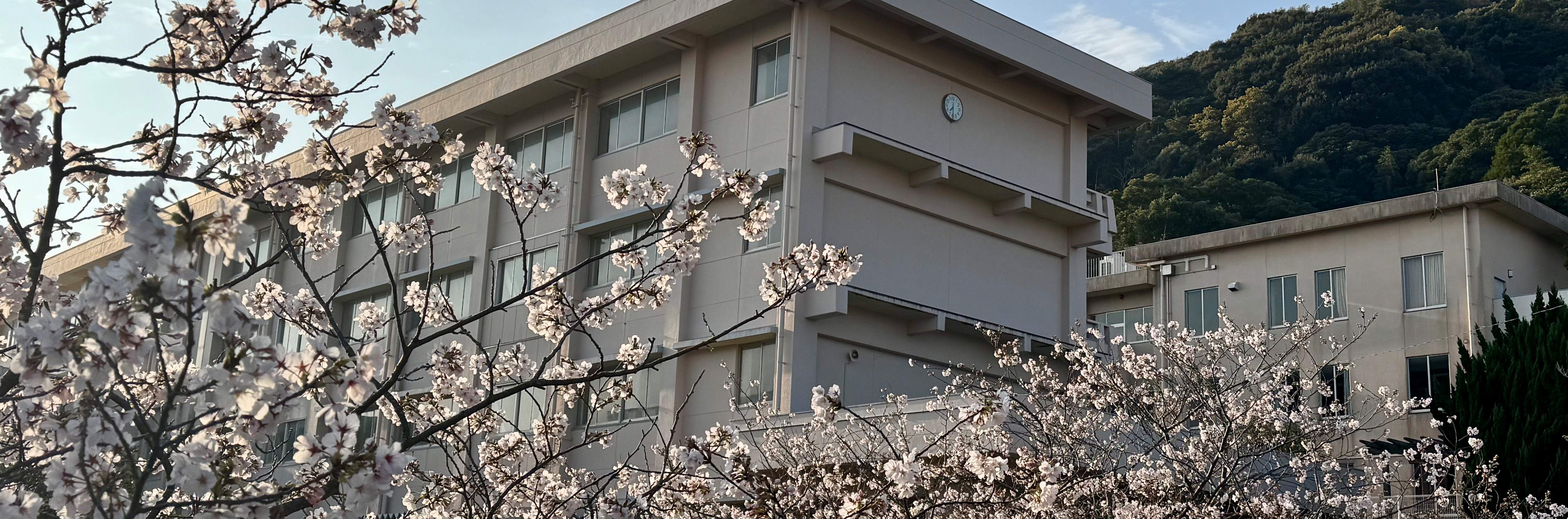 メインイメージ