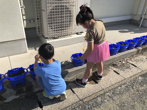 5 19 火 大きくなあれ 川上小学校のホームページ