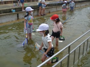 生き物探し（２年）