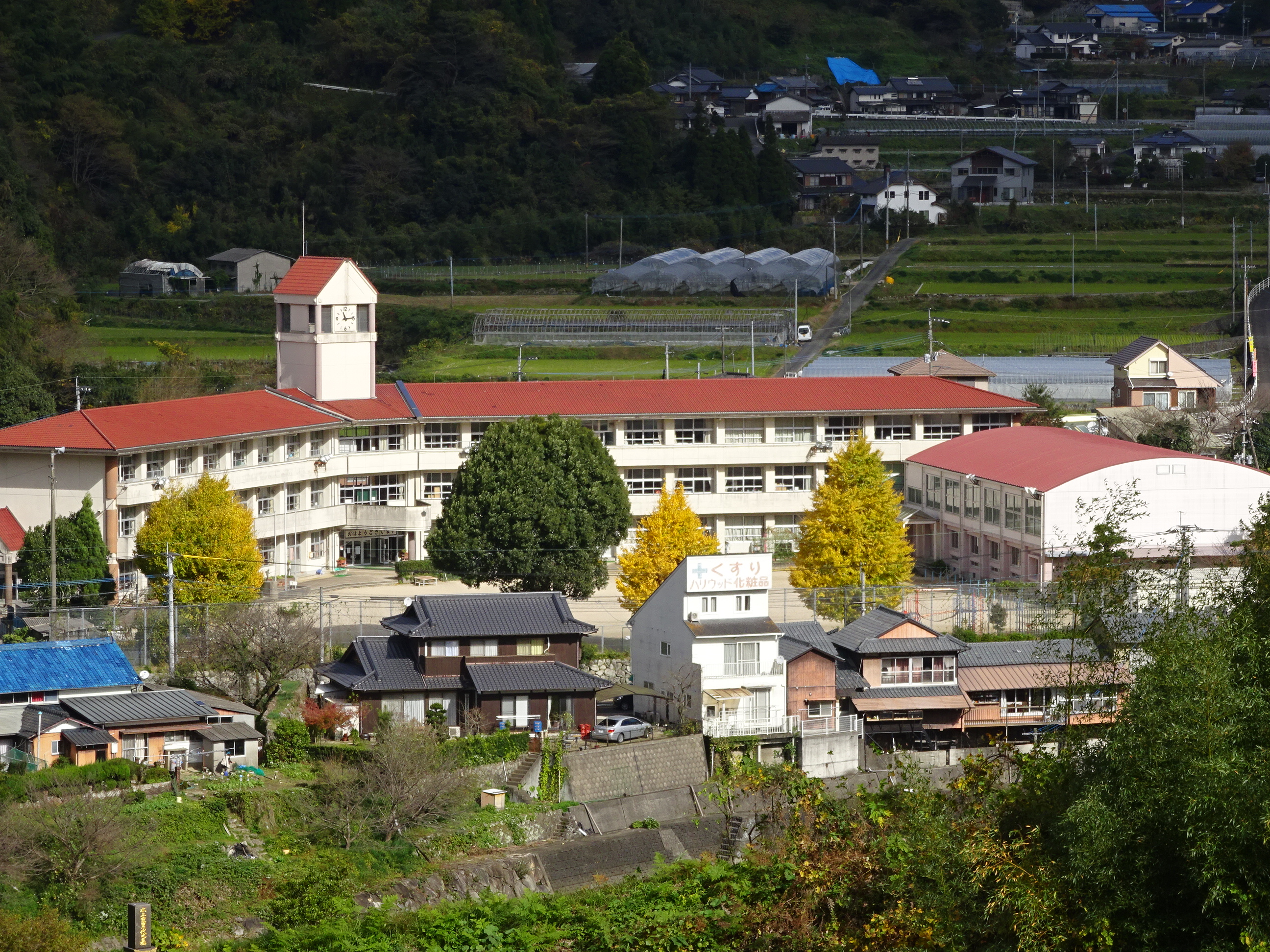 学校風景 学校風景