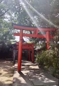 写真同好会HP用写真2