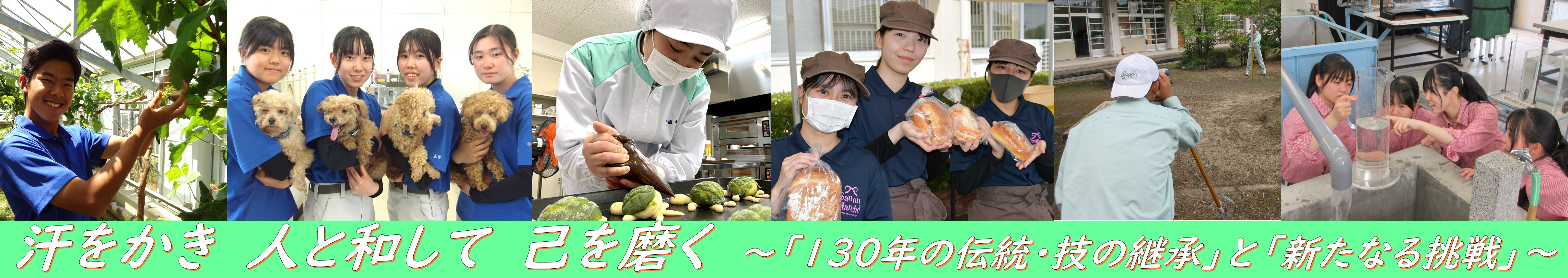 佐賀 農業 高校