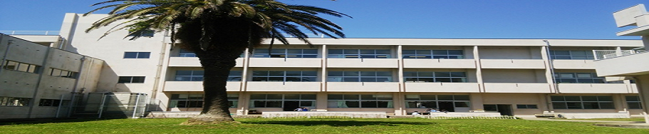 唐津市立呼子小学校 唐津市立呼子小学校